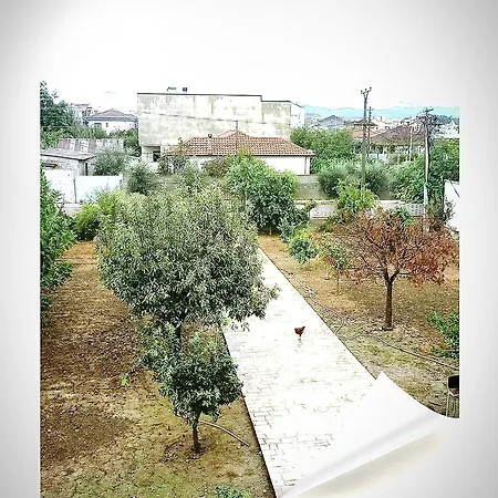 Villas Elenna For Rent Feeling Home Apartamento *