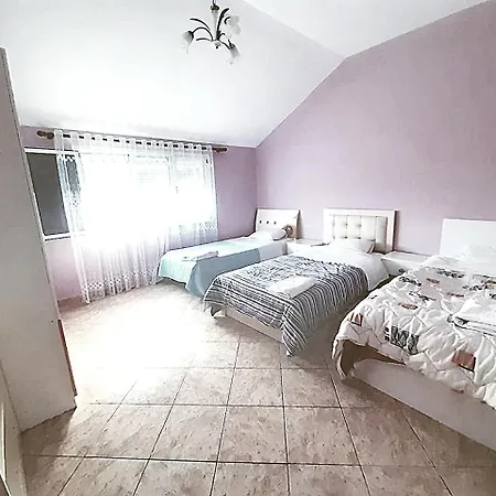 Alisha For Rent View Apartment