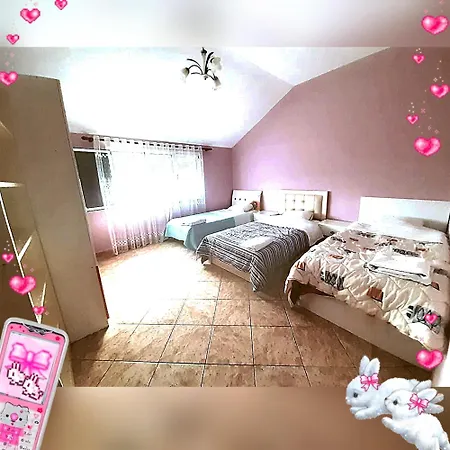 Apartment Alisha For Rent View