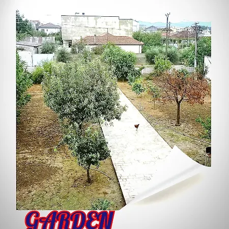 Villas Sara For Rent Best View